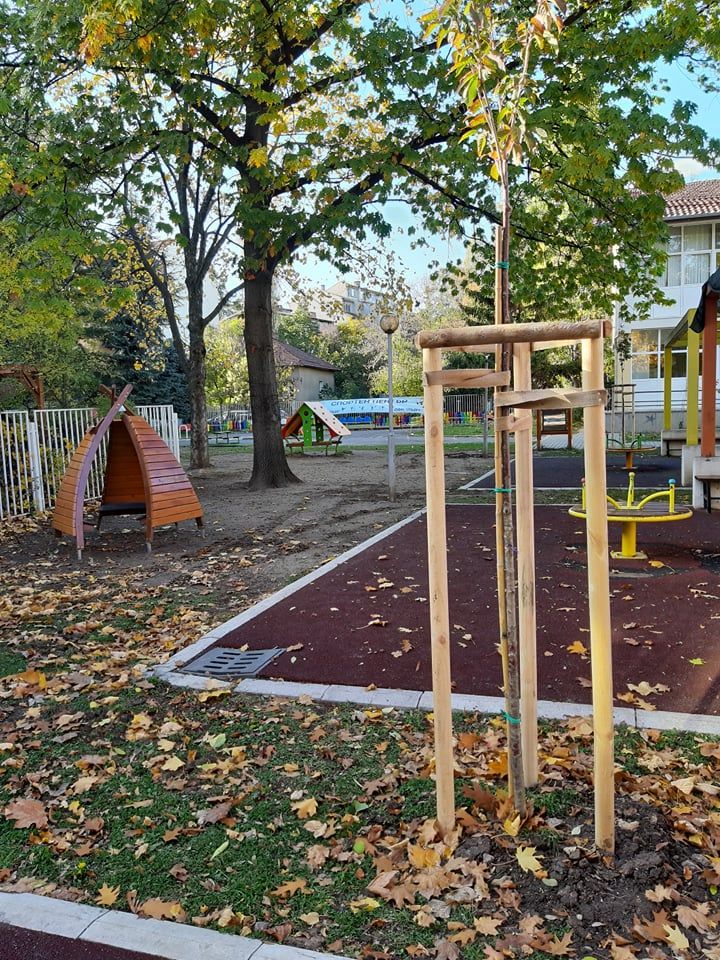 Залесяване в двора на ДГ с подкрепата на район "Изгрев" - ДГ 133 Зорница - София, Изгрев