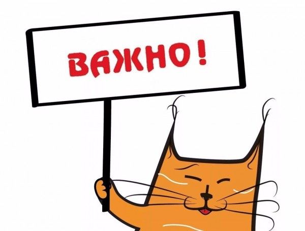 Отсъствие на децата от предучилищните групи по време на епидемиологична обстановка - ДГ 133 Зорница - София, Изгрев